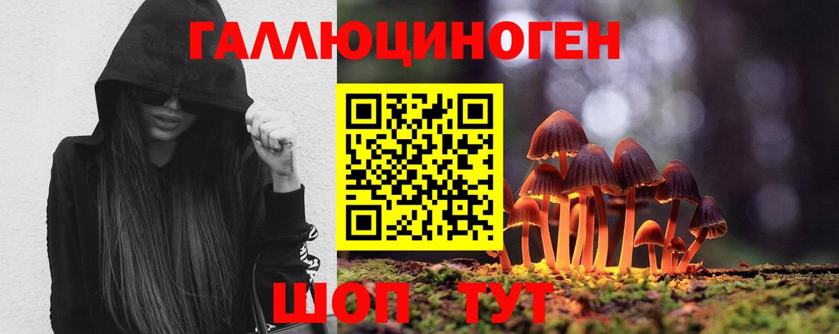 Псилоцибиновые грибы Psilocybine cubensis Наро-Фоминск